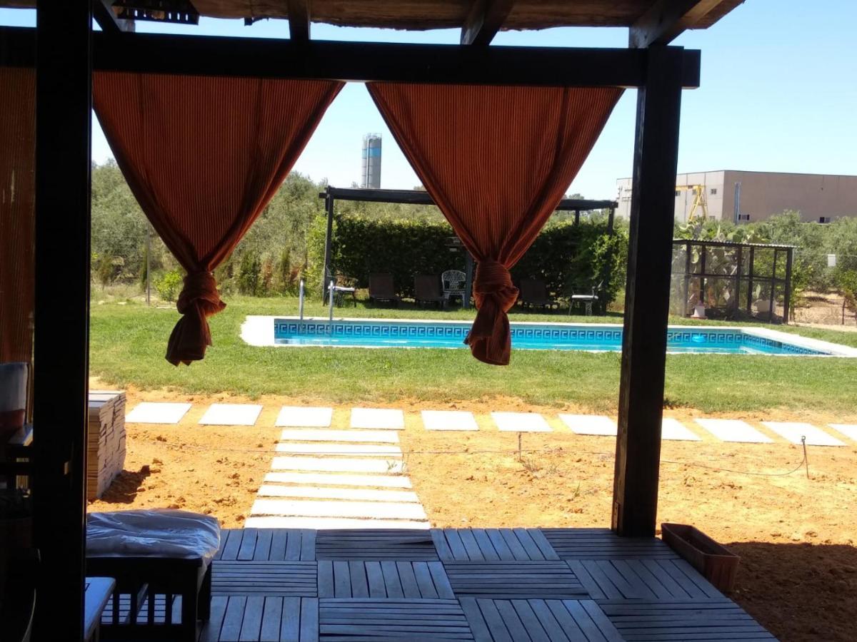 Bed and Breakfast Casa Ecuestre Carmen Martinez Fuente Palmera Exterior foto